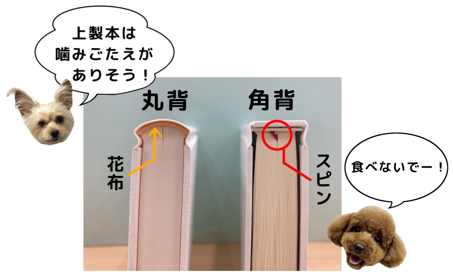 #41【本の仕組み】上製本にも種類がある!「丸背」「角背」 - 自費出版のご案内|小学館スクウェア 出版事業部