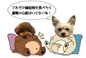 太った茶色い犬と白い犬が、「これだけ食べれば運勢の心配はいらないね!」と話している。