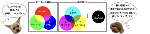 モニターはR（レッド）、G（グリーン）、B（ブルー）で表現され、紙の印刷はC（シアン）、M(マゼンタ）、Y(イエロー）、K（キープレート）で表現している。「モニターは3色、紙は4色で表現しているんだね」「紙の印刷では黒をきれいに出すためにkeyplate（キーとなる版）を使っているんだって！」と2匹の犬が話している。