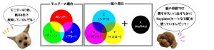モニターはR（レッド）、G（グリーン）、B（ブルー）で表現され、紙の印刷はC（シアン）、M(マゼンタ）、Y(イエロー）、K（キープレート）で表現している。「モニターは3色、紙は4色で表現しているんだね」「紙の印刷では黒をきれいに出すためにkeyplate（キーとなる版）を使っているんだって！」と2匹の犬が話している。