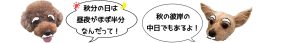 茶色い犬と白い犬が「秋分の日は昼夜がほぼ半分なんだって！」「秋の彼岸の中日でもあるよ！」と話している。