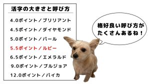 4ポイントはブリリアント、4.5ポイントはダイヤモンド、5ポイントはパール、5.5ポイントはルビー、6.5ポイントはエメラルド、9ポイントはブルジョア、12ポイントはパイカと呼ばれていた。白い犬が「かっこいい呼び方がたくさんあるね！」と話している。